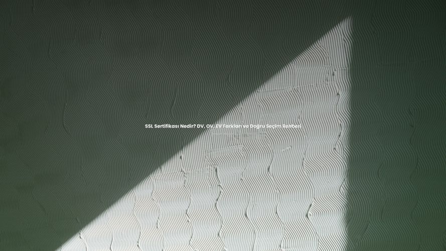 SSL Sertifikası Nedir? DV, OV, EV Farkları ve Doğru Seçim Rehberi hakkında bilgilendirici görsel