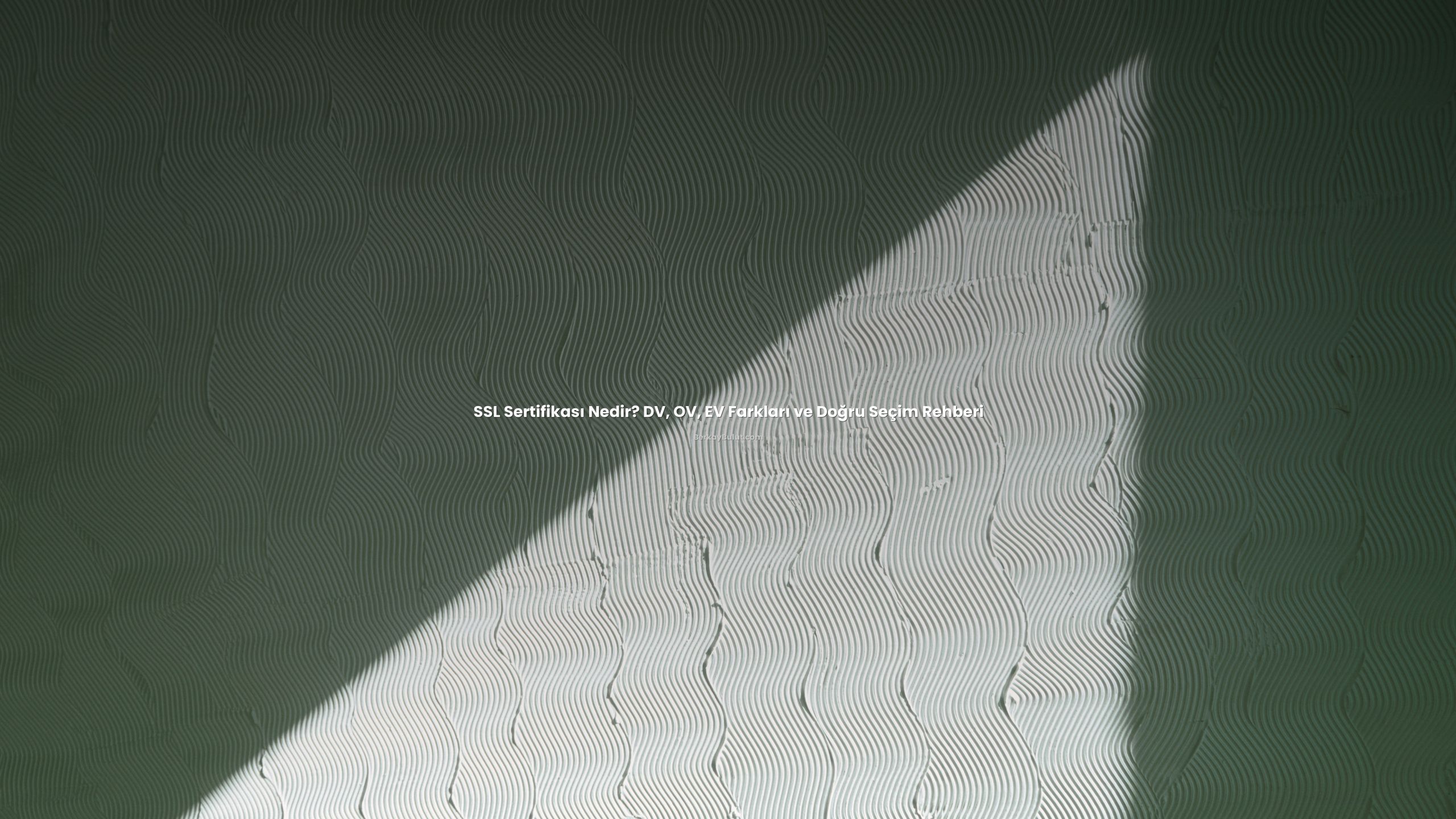 ssl-sertifikasi-nedir-dv-ov-ev-farklari-ve-dogru-secim-rehberi