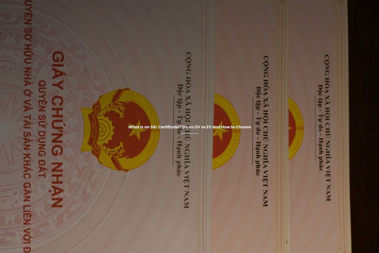 Featured image for What Is an SSL Certificate? DV vs OV vs EV and How to Choose article